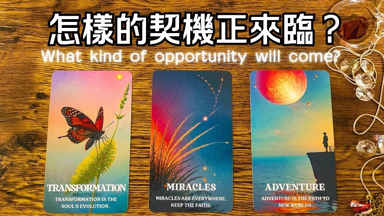 怎樣的契機將來到你身邊？！🌞#運勢#感情#事業#人際🎗️黑皮好思HappyHouse Tarot⭐能量顯化 #塔羅占卜#諮詢 #tarotreading