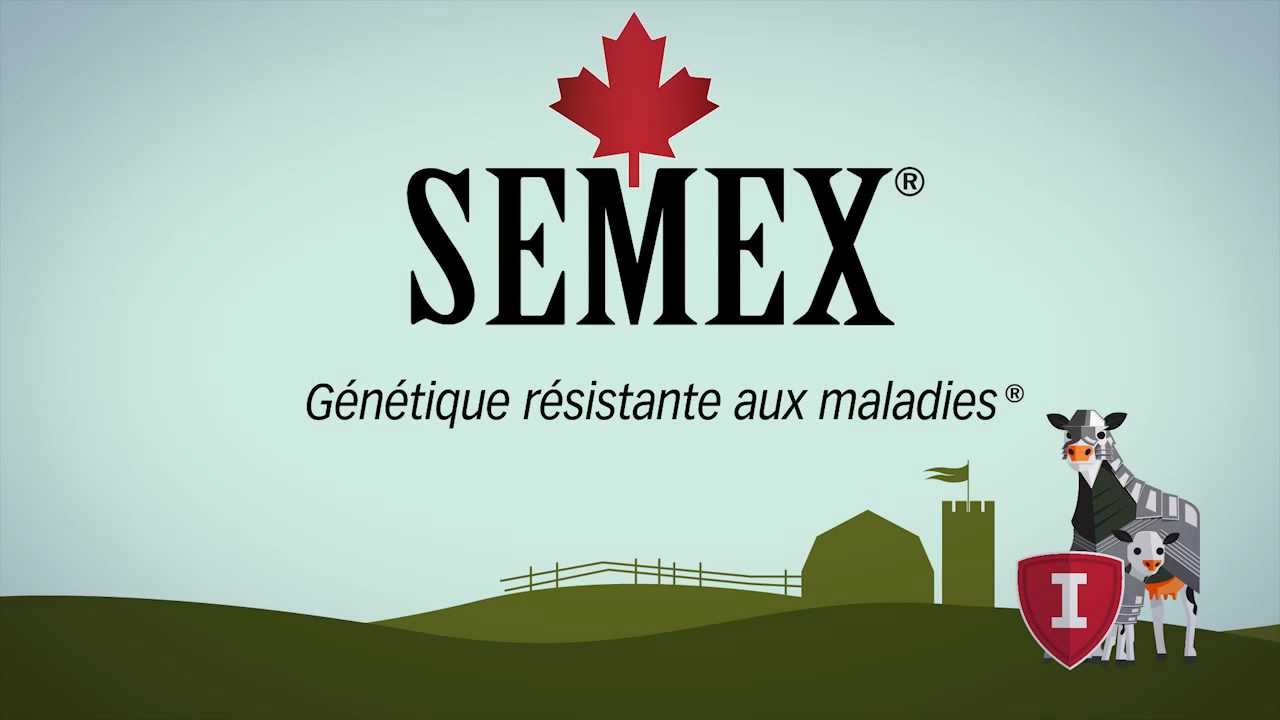 Semex Immunity+&trade; French HD