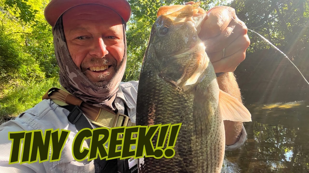 Tiny Creek… Big Bass!