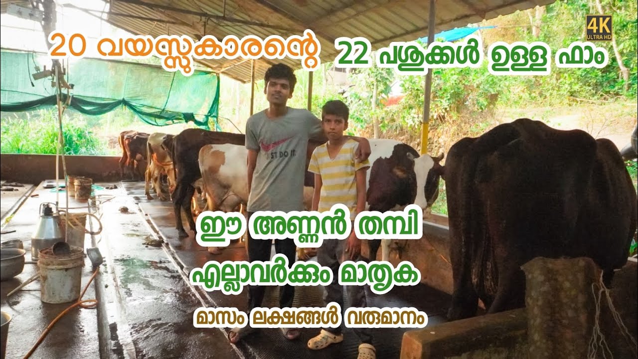20 വയസ് കാരന്റെ 22പശുക്കൾ ഉള്ള പശു ഫാം കഷ്ട്ടപെട്ടാൽ എല്ലാം നേടാം എന്ന് തെളിയിക്കുന്നു