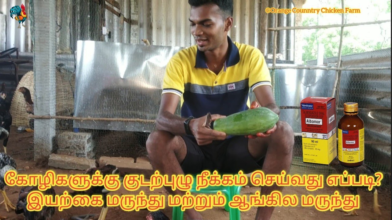 ௧ோழிகளு௧்கு குடற்புழு நீக்கம் செய்வது எப்படி|Country Chicken Deworming|Nattu Kozhi Kudal Pulu Neekam