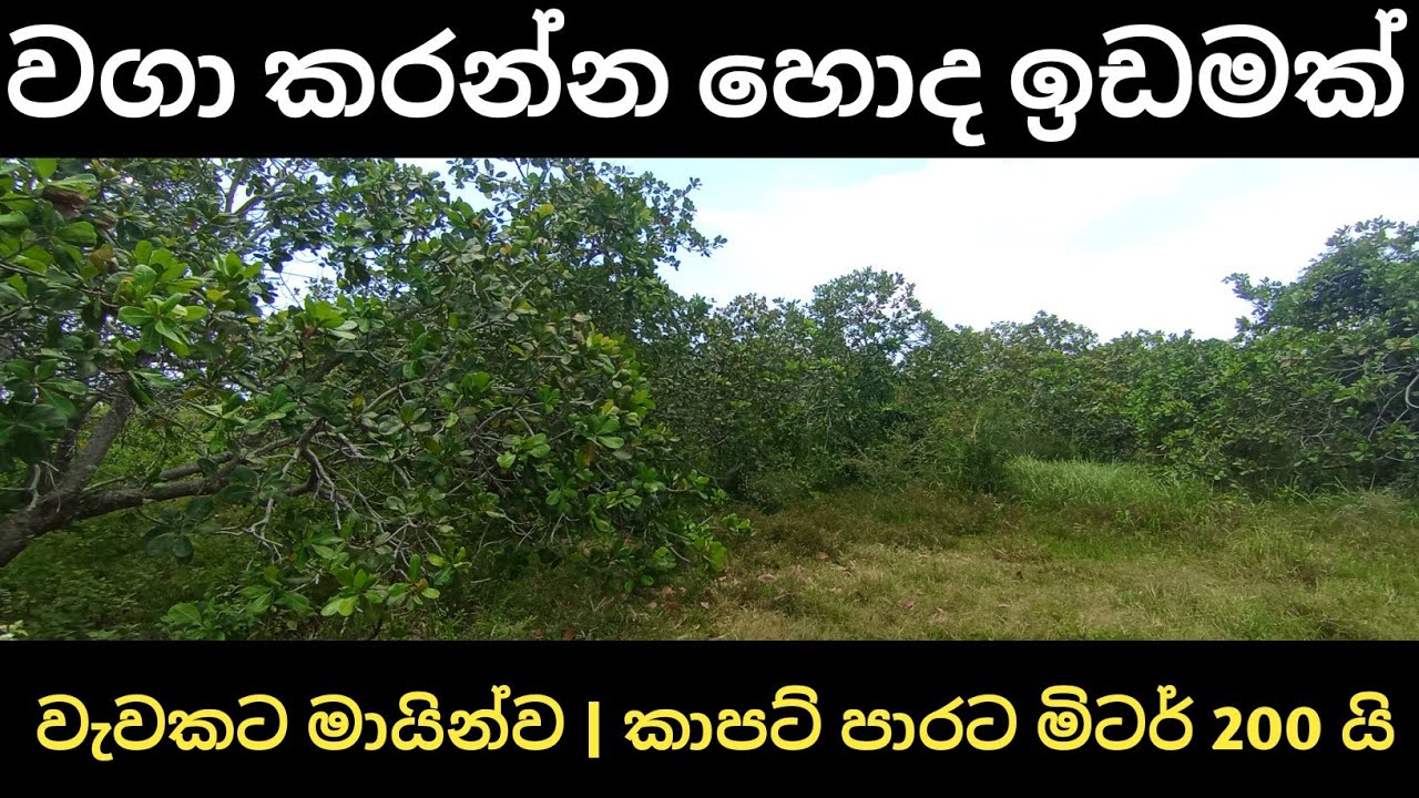 අඩුවට වැවකට මායින් වගාවට හොද ඉඩමක් | Low price land sale in srilanka | idam lanka