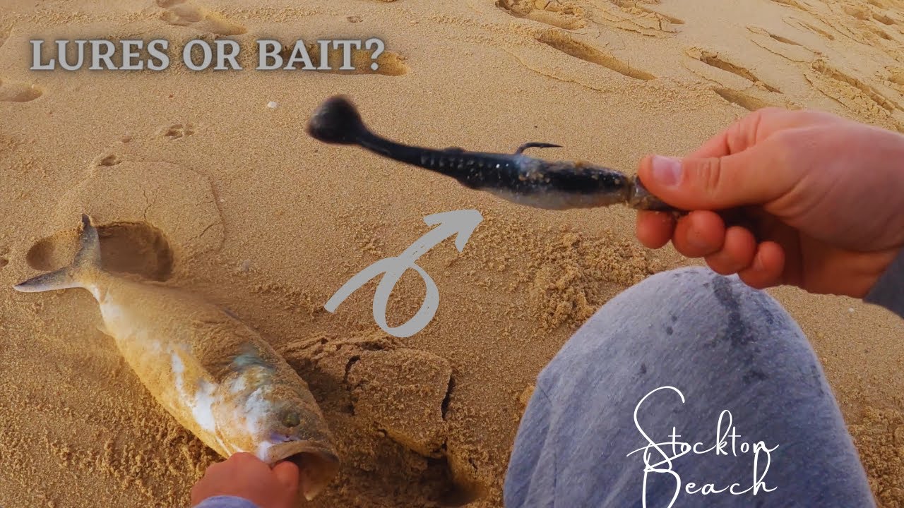 How to fish STOCKTON BEACH in winter with lures and bait | SHARK ATTACKS SALMON