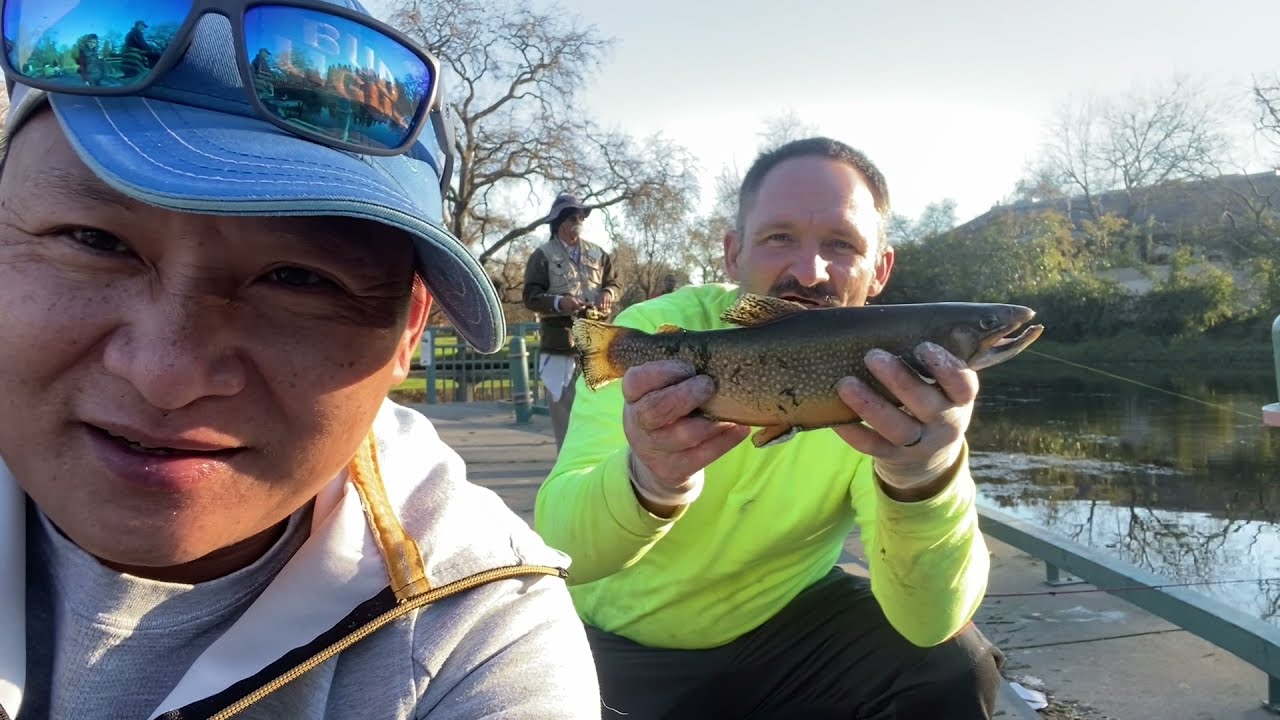 Trout fishing in Howe park 2022