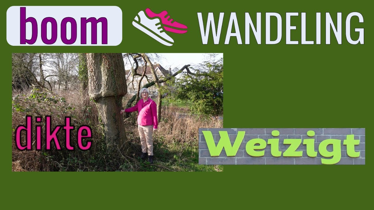 Dikte, bomen worden gemiddeld rond de twee centimeter dikker per jaar.