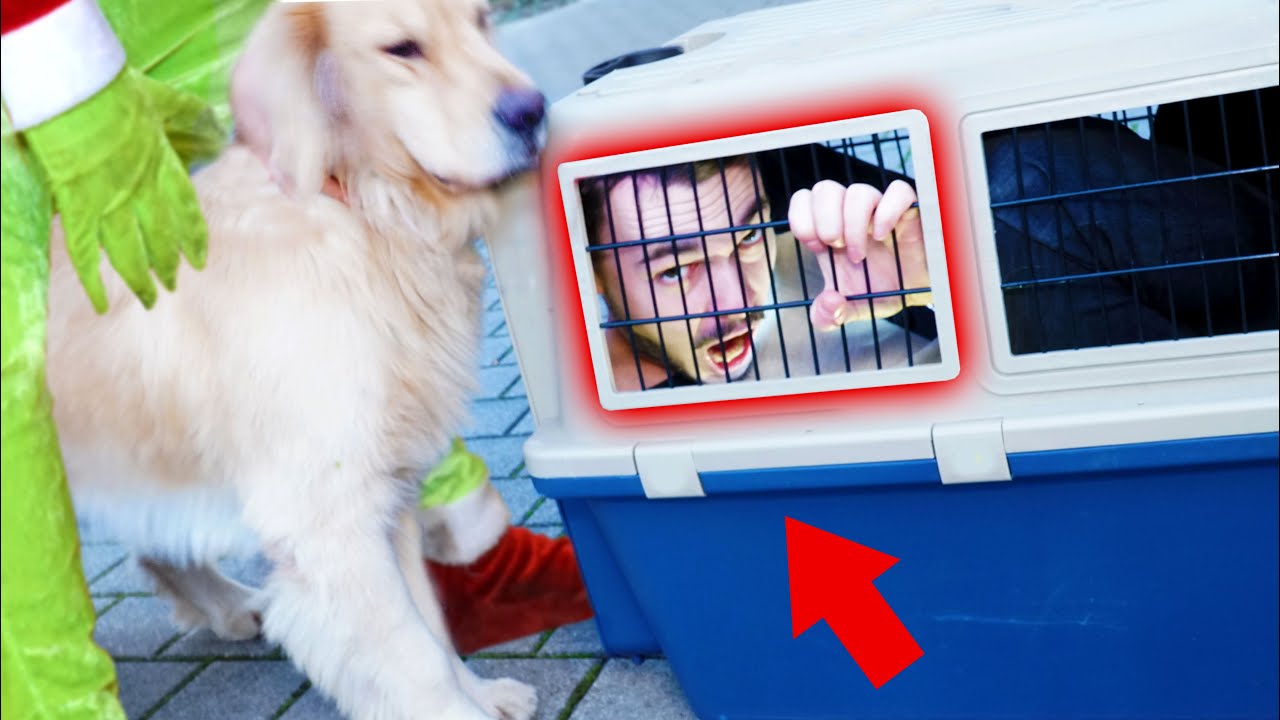 HUND LUCKY BEFREIT FLEXI aus dem HUNDEKÄFIG vom GRINCH !!
