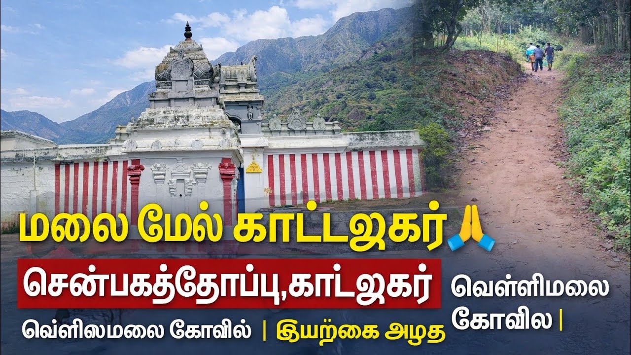 😱 இவ்வளவு அழகான கோவிலை இதுவரை பார்க்கலையா? | வெள்ளிமலை காட்டழகர் 🌄#viral #viralvideo #travel#video