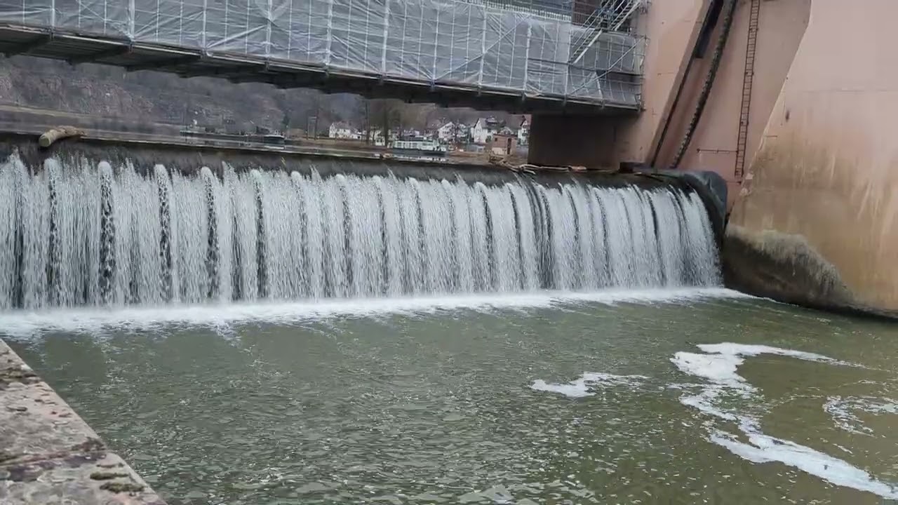 Staustufe Hirschhorn, Neckar