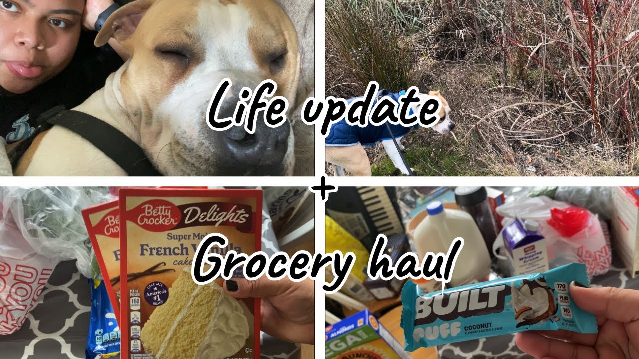Life update + Grocery haul! 