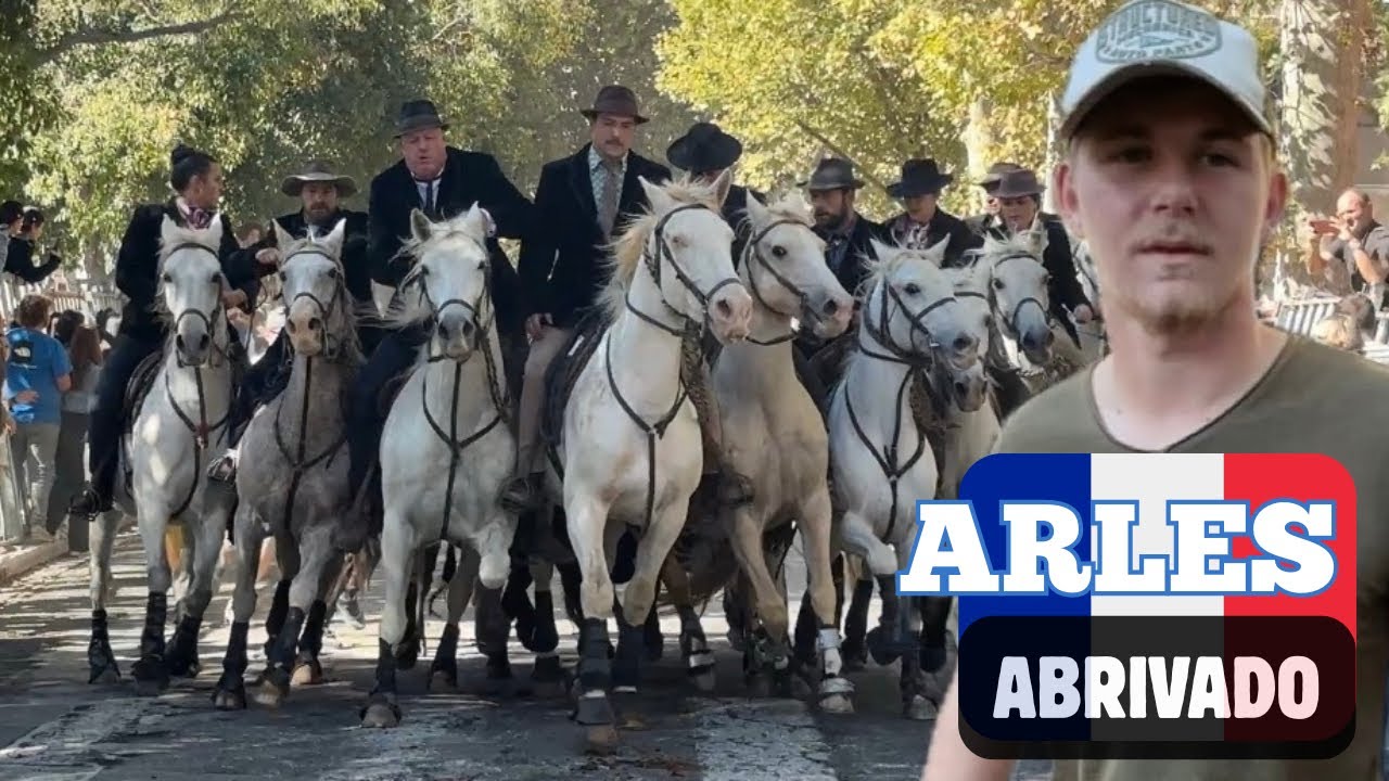  ⚠️L’Abrivado se termine mal ￼ ➡️ Arles 🇫🇷 12/10/2025 ⭐️ Manades MARTEL, GILLET & GRIMAUD 