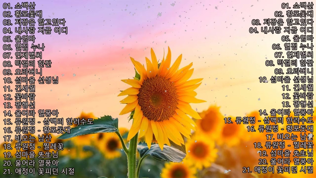시간의 흐름 속에서도 변하지 않는 한국 트로트 옛 노래 이야기