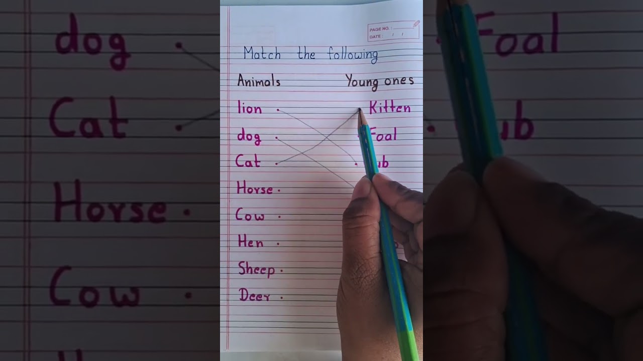 Animals name and young ones mane in english | match the following animals and young ones for kids
