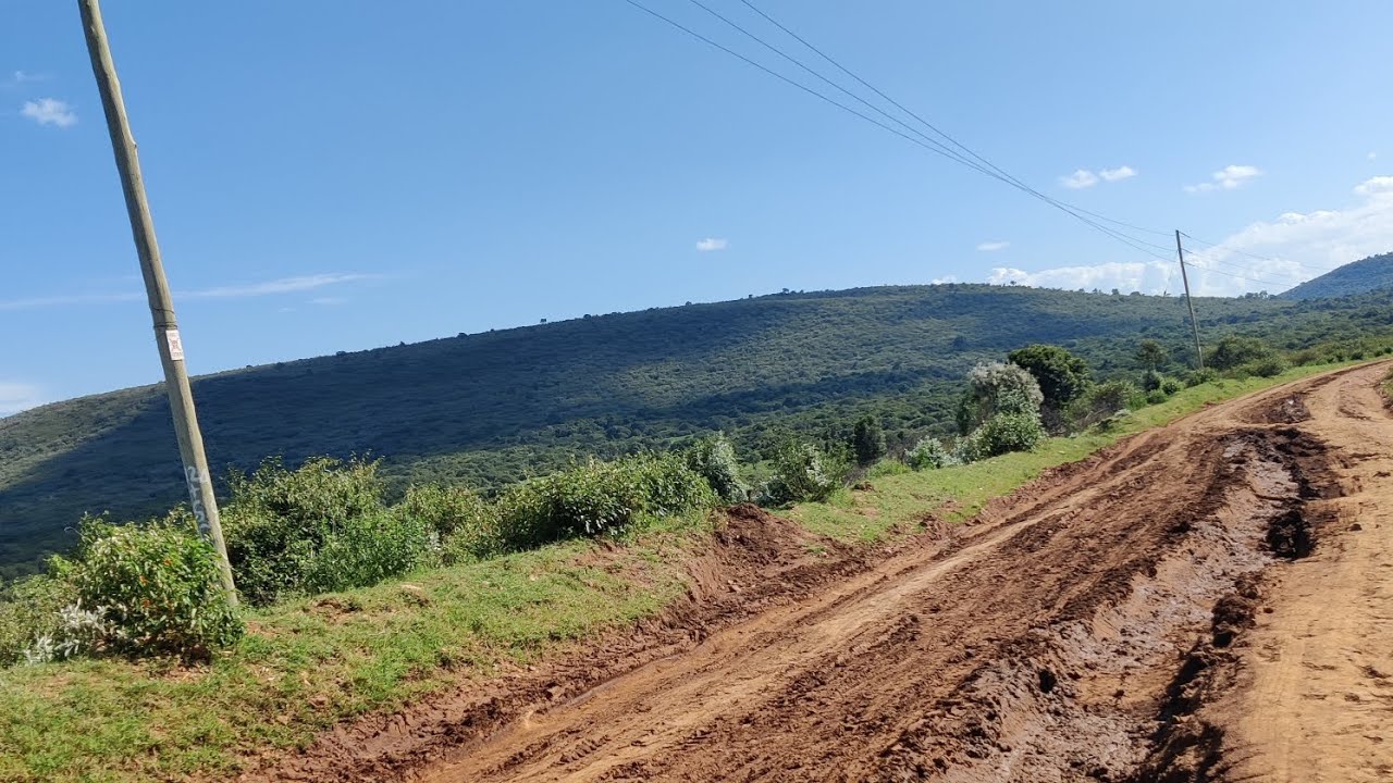 GAME DRIVE MAASAI MARA NABOISHO CONSERVANCY
