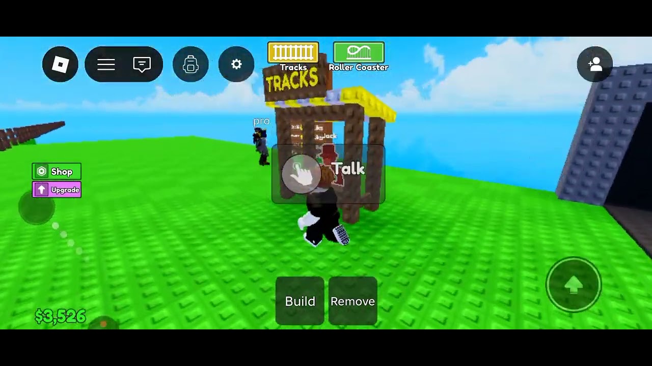 I play build a roller coaster 