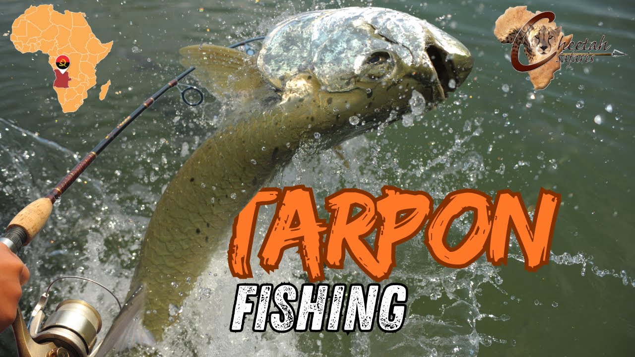 Angola Tarpon Fishing Trip