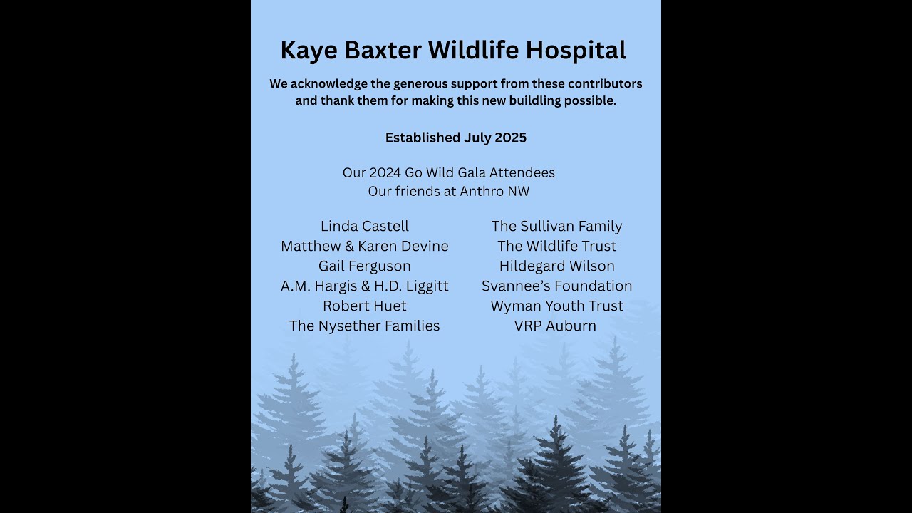 Sarvey Wildlife Care Center - Wildlife Rehabilitation Hospital
