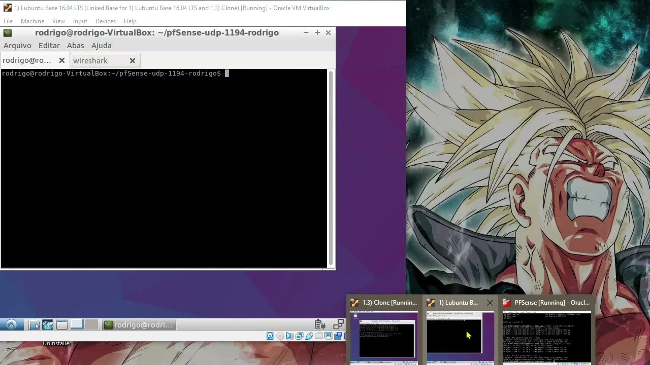 Acessando rede LAN pela rede WAN com OpenVPN no PFSense
