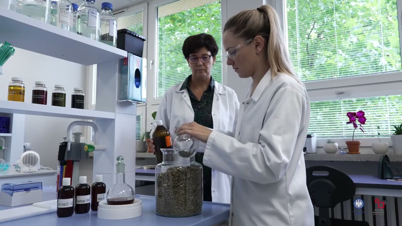 Spilantol z Acmella oleracea - naturalny ziołowy botoks