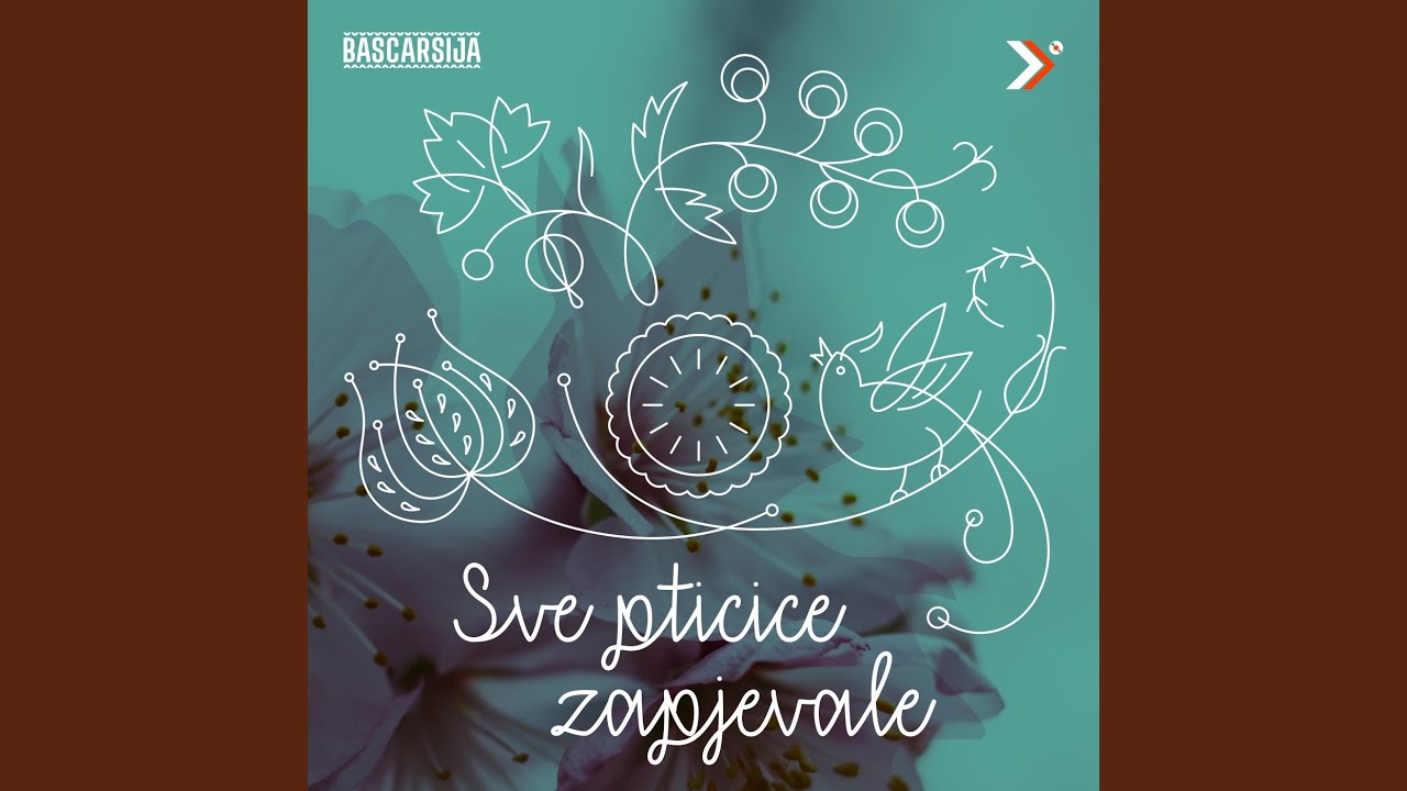 Vino piju nane Age Sarajlije