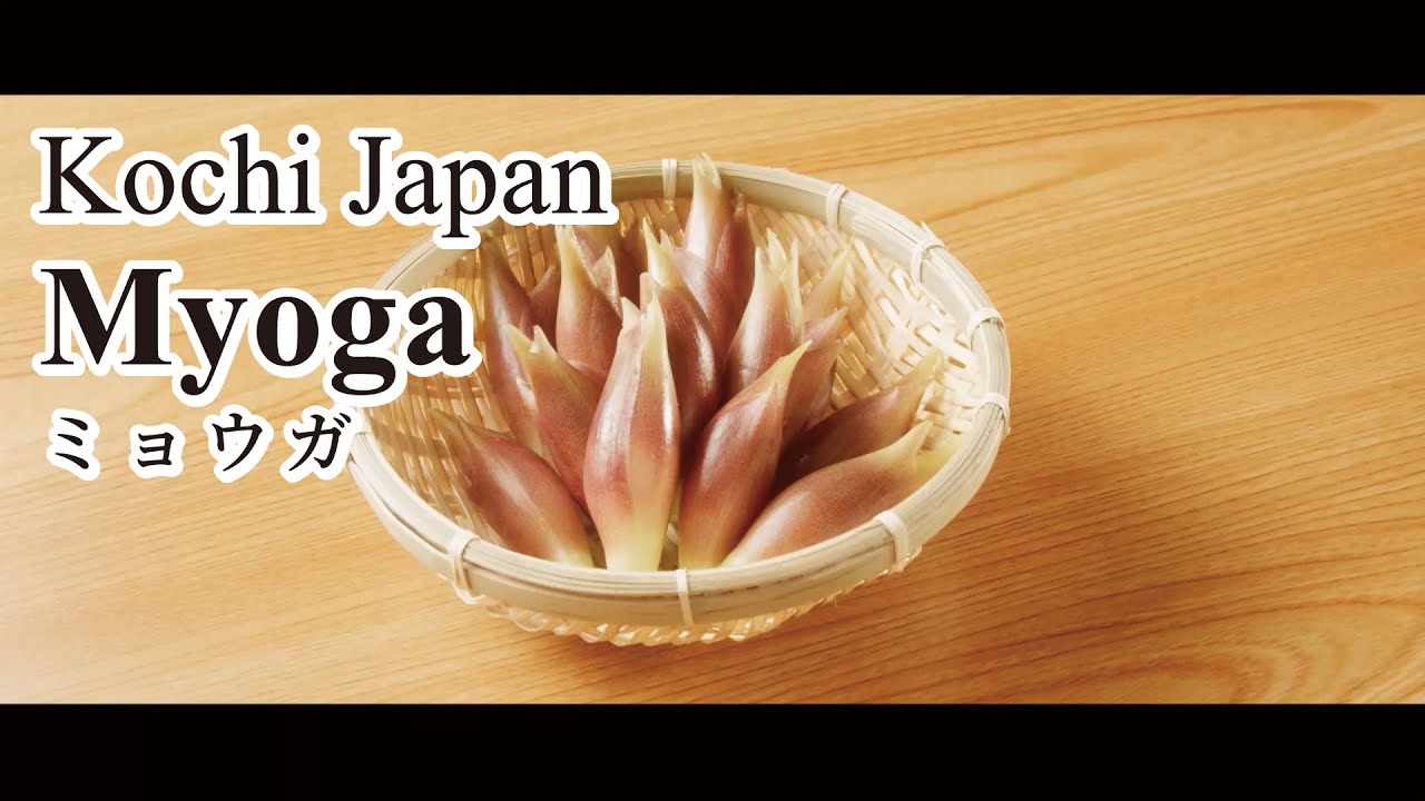 Myoga