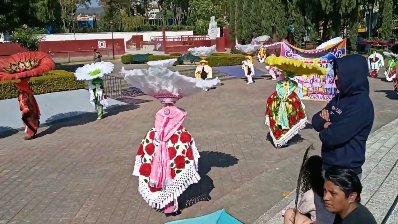 Carnavales Tlaxcala México 2026 #2