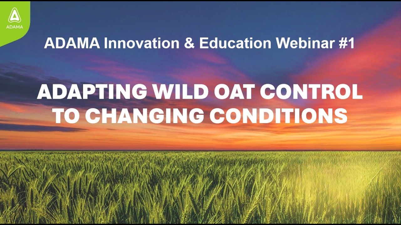 Adapting Wild Oat Control to Changing Conditions   ADAMA Webinar