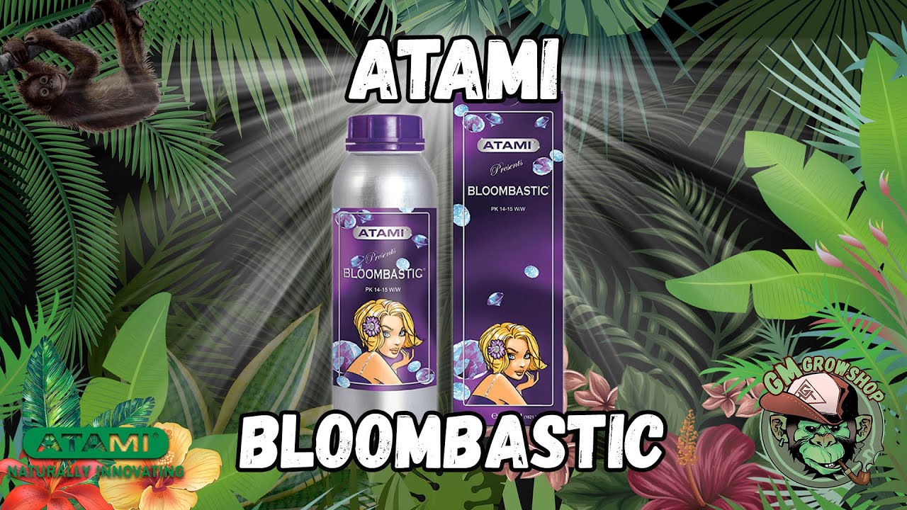 BLOOMBASTIC - ATAMI