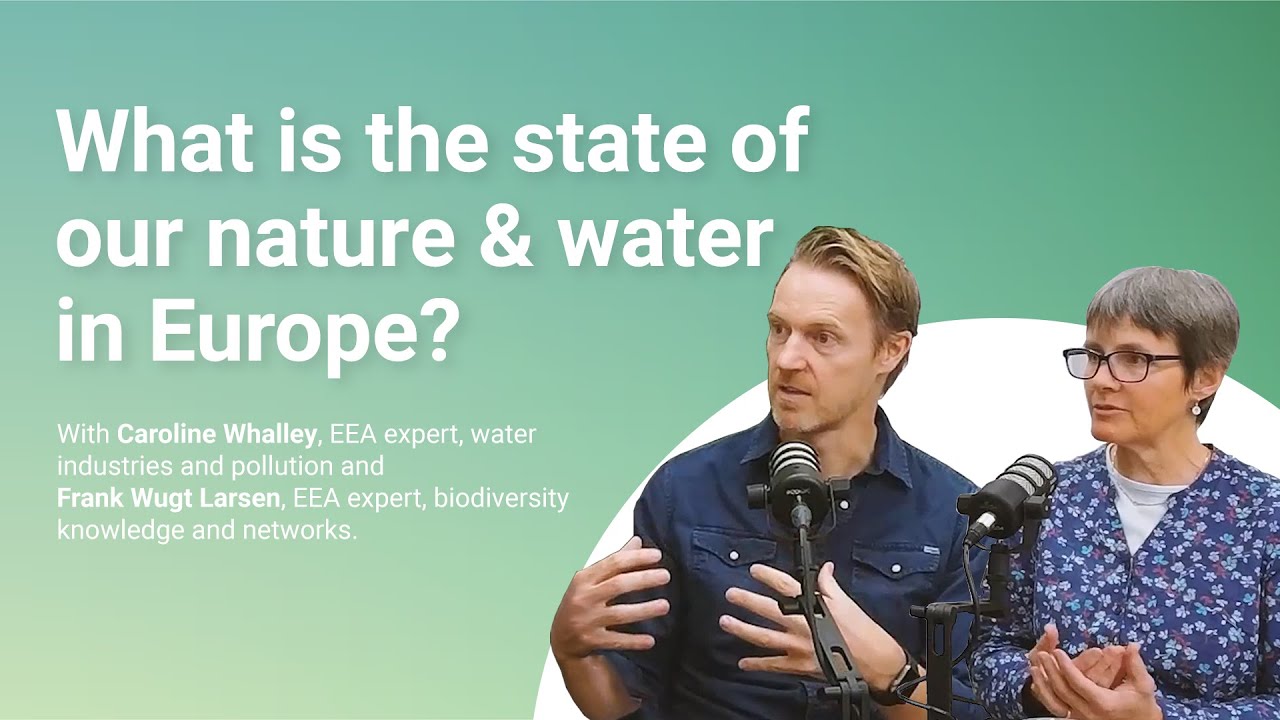 What is the state of our nature and water in Europe?