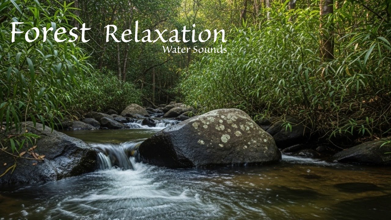 4K Nature Sounds River Water Meditation  | Relaxation Live Stream in Deep Forest