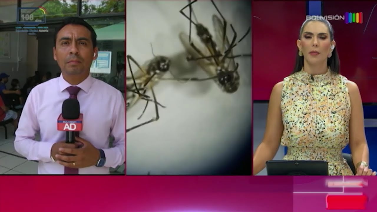 Noticias Bolivisión Al Día Santa Cruz 11 de Febrero 2026