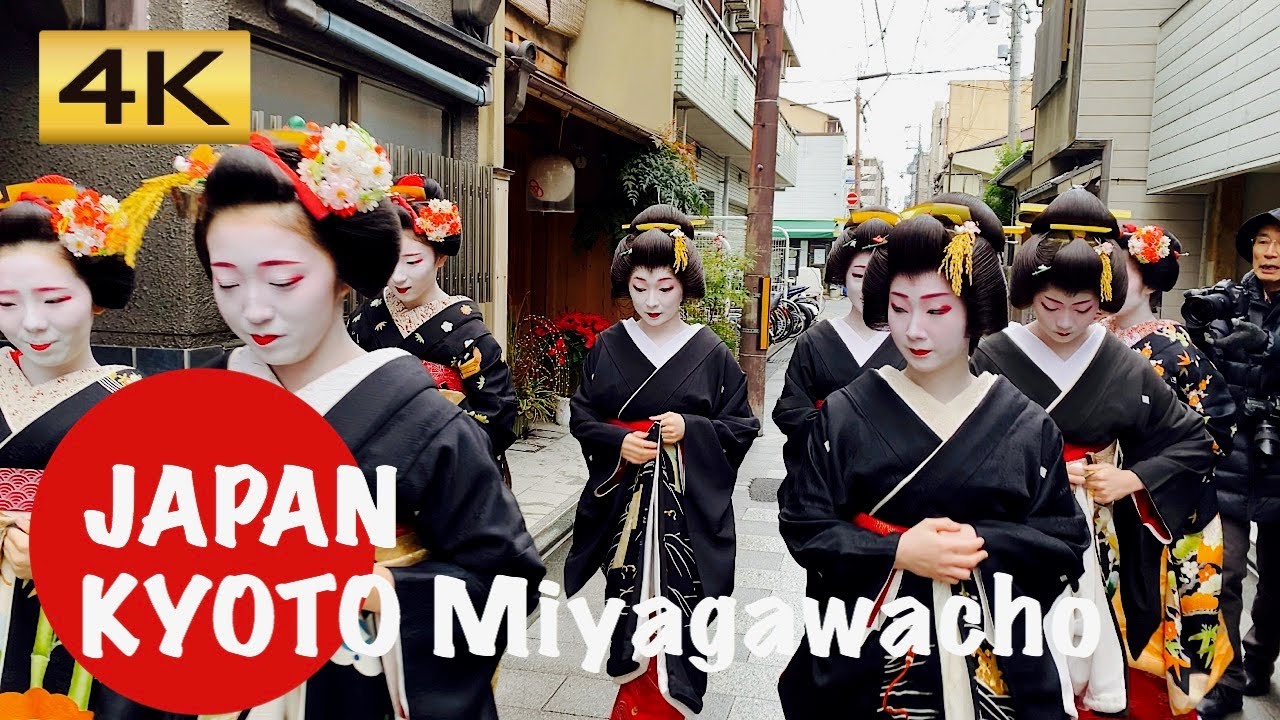 KYOTO JAPAN Maiko-san,Geiko-san,芸妓さん　舞妓さん