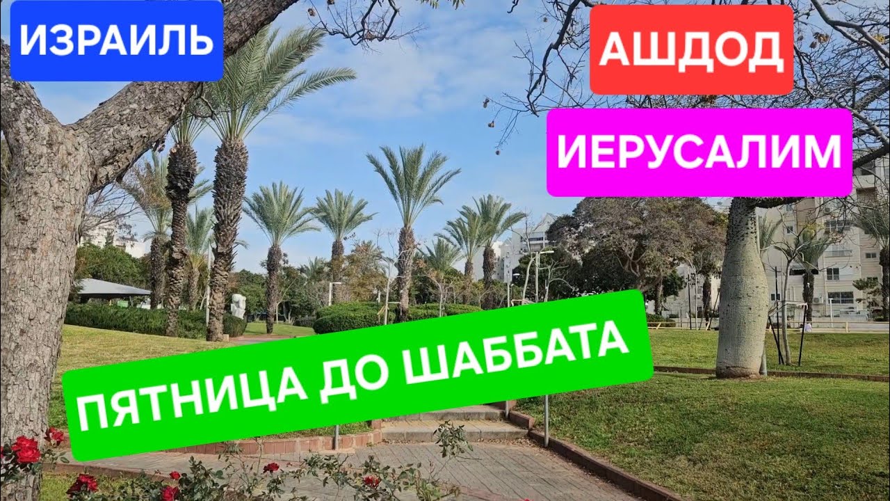 Что делаем в пятницу утром/Ашдод/Иерусалим/Гуляем/Пьём кофе/Готовим еду