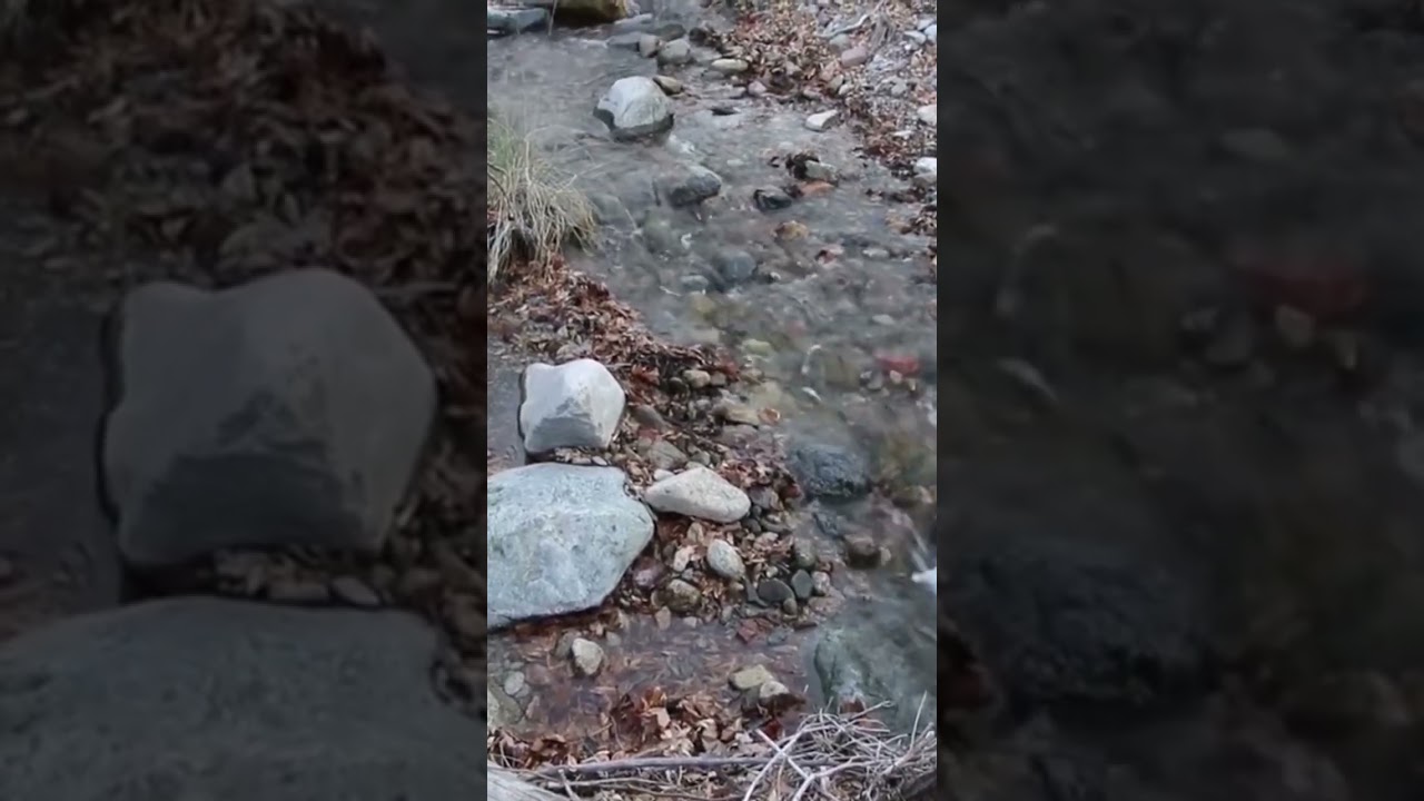 Nature break! 