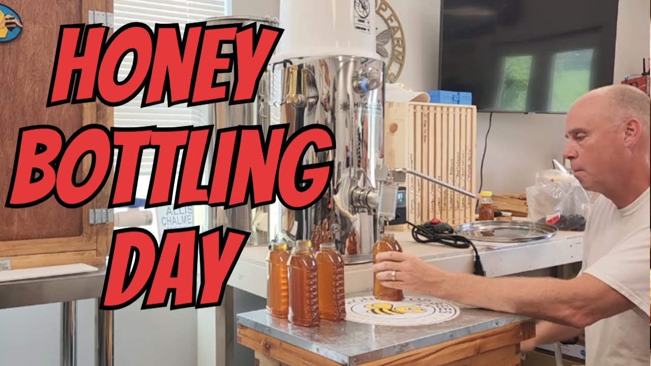 DIY Honey Bottling: EASY Small Scale Honey Harvesting