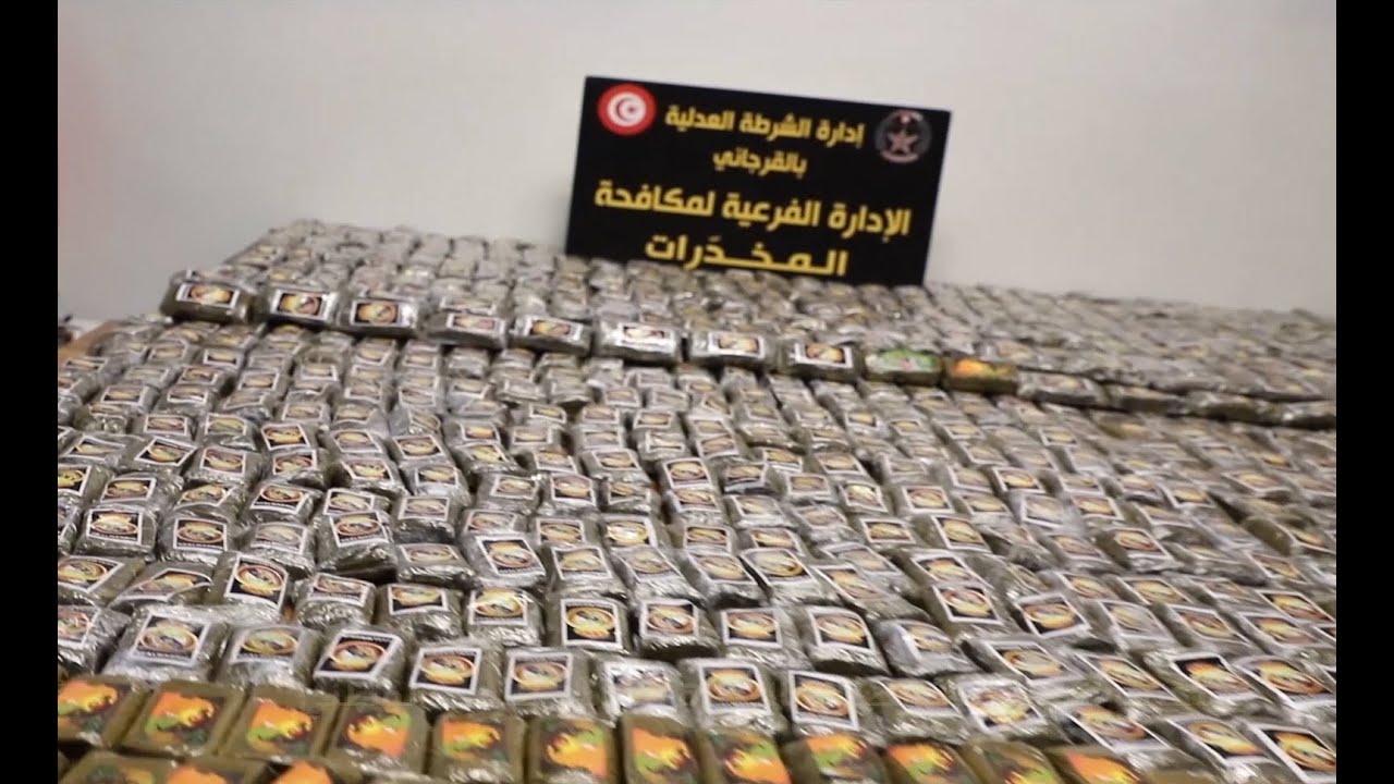 بنزرت/ تفكيك شبكة مختصة في تهريب وترويج المخدرات وحجز ما يقارب 1000 صفيحة من مخدّر القنب الهندي