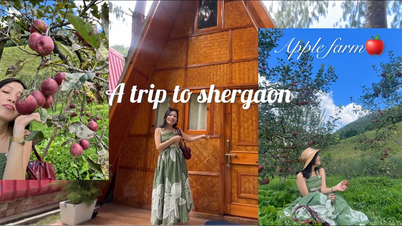 Trip to Shergaon, Arunachal Pradesh, Horticulture farm(Apple farm), Oakley Groves Resort