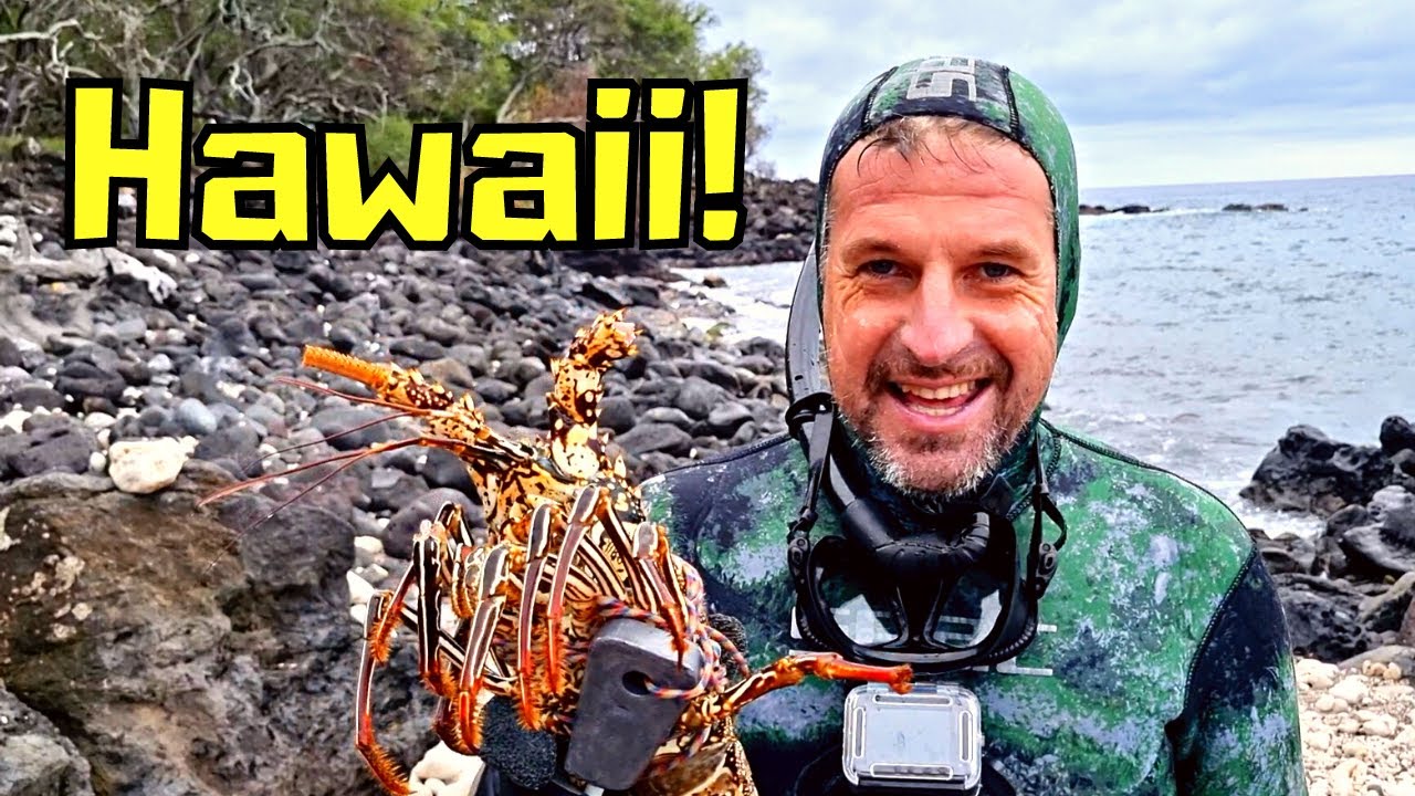 Aloha from Hawaii! - Spearfishing in the crystal-clear waters of the big island!
