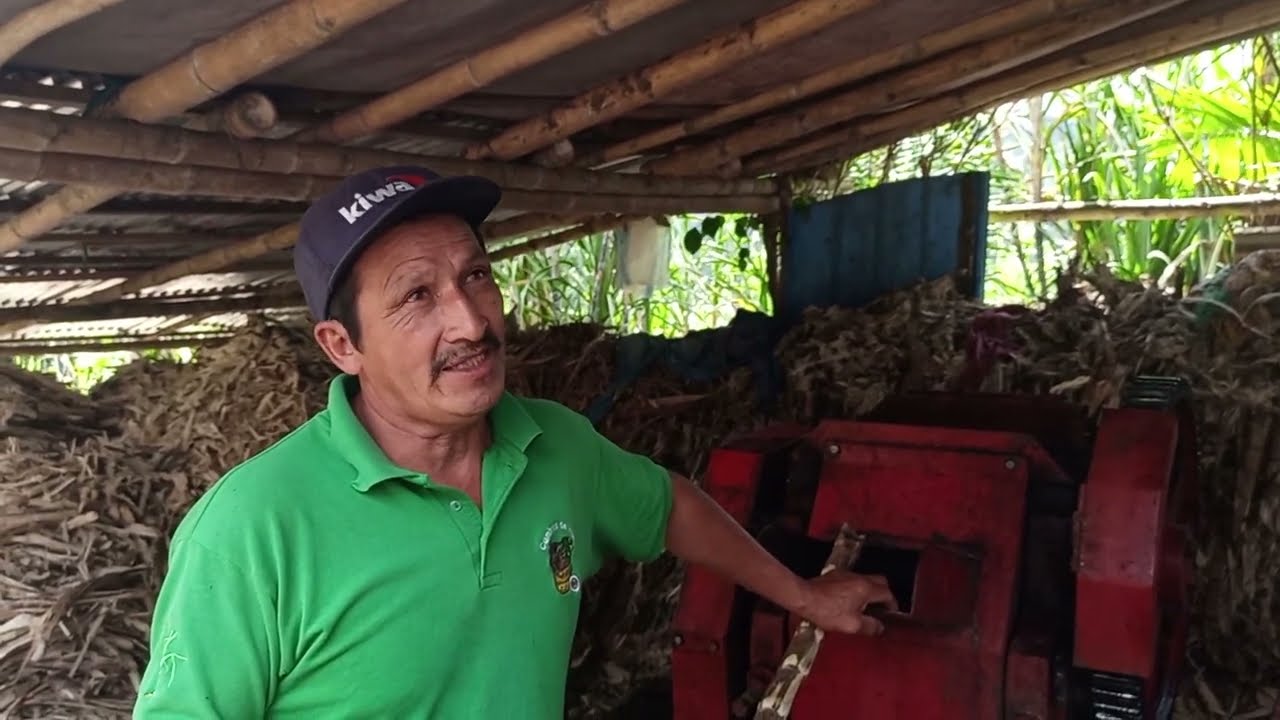 Ingapi (Pacto) - Tierra del jugo de caña. 🎋🇪🇨