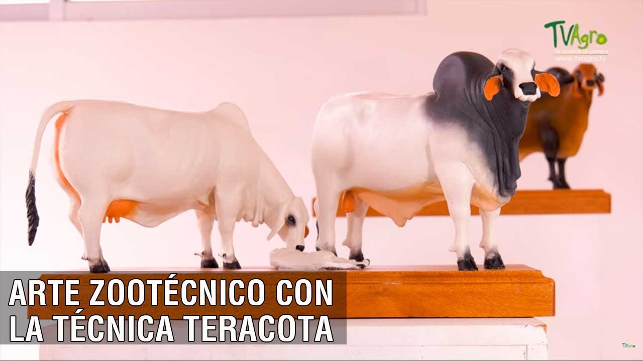 Arte zootécnico con la técnica terracota - TvAgro por Juan Gonzalo Angel Restrepo