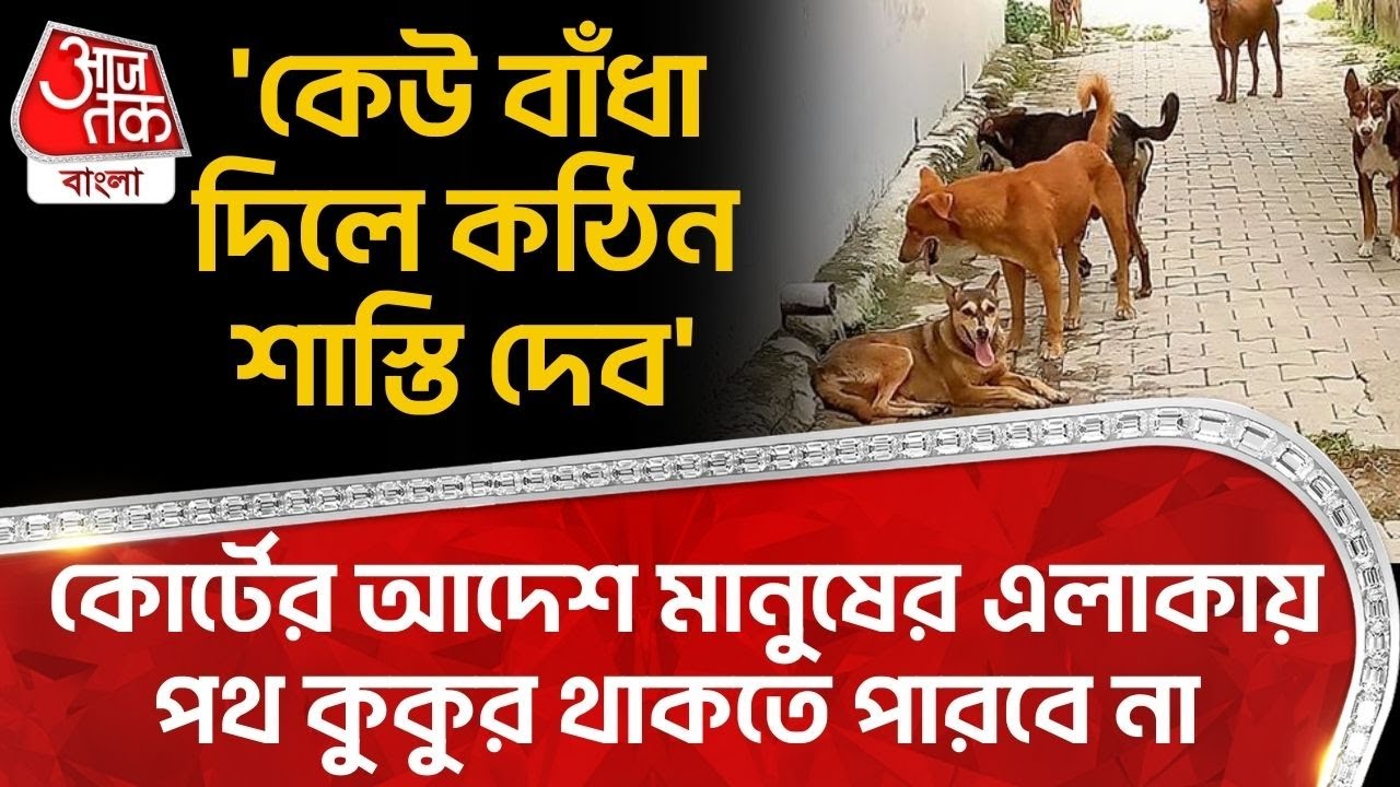 'কেউ বাধা দিলে কঠিন শাস্তি দেব', Court র আদেশ মানুষের এলাকায় Stray Dogs থাকতে পারবে না | Delhi | NN