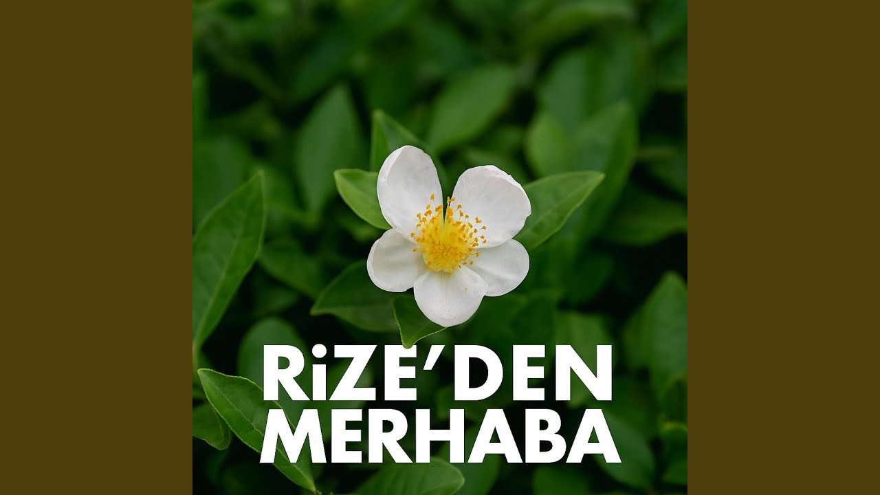 Rize'den Merhaba