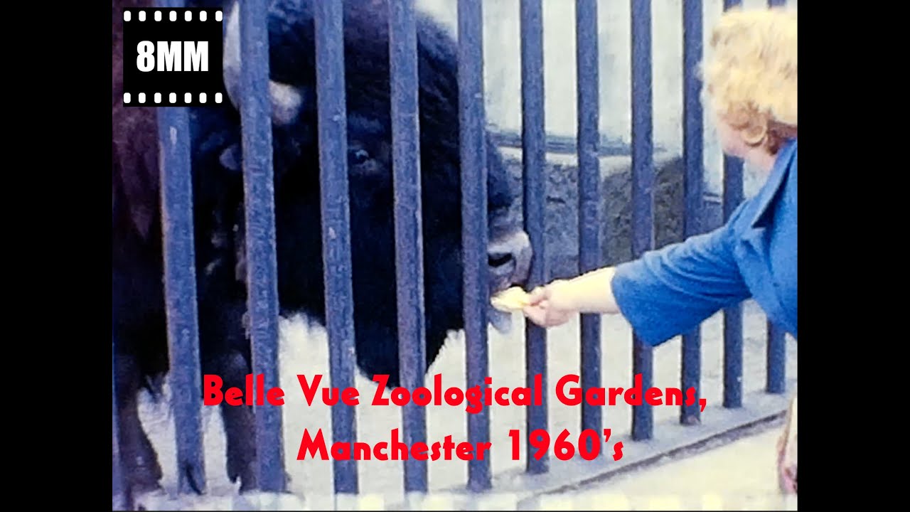Family 8mm Cine film. Belle Vue Zoo Manchester, 1960's