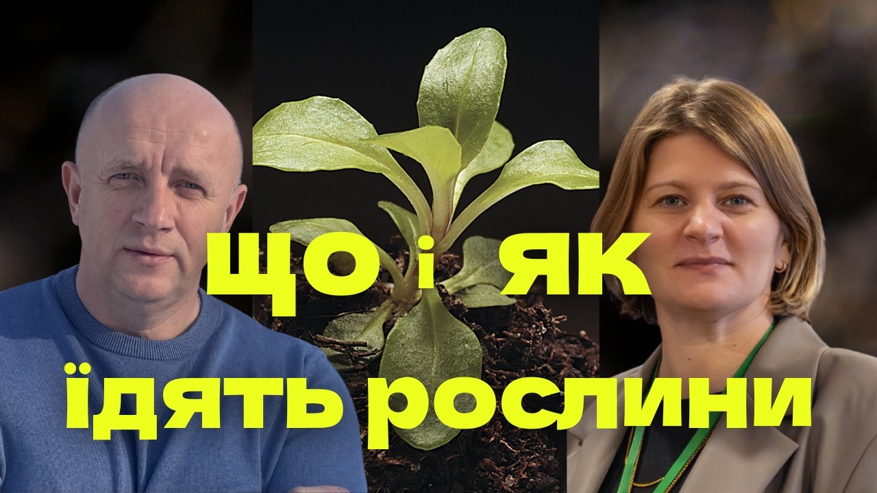 Механізми удобрення рослин, роль мікроорганізмів, води, мінеральні та органічні добрива
