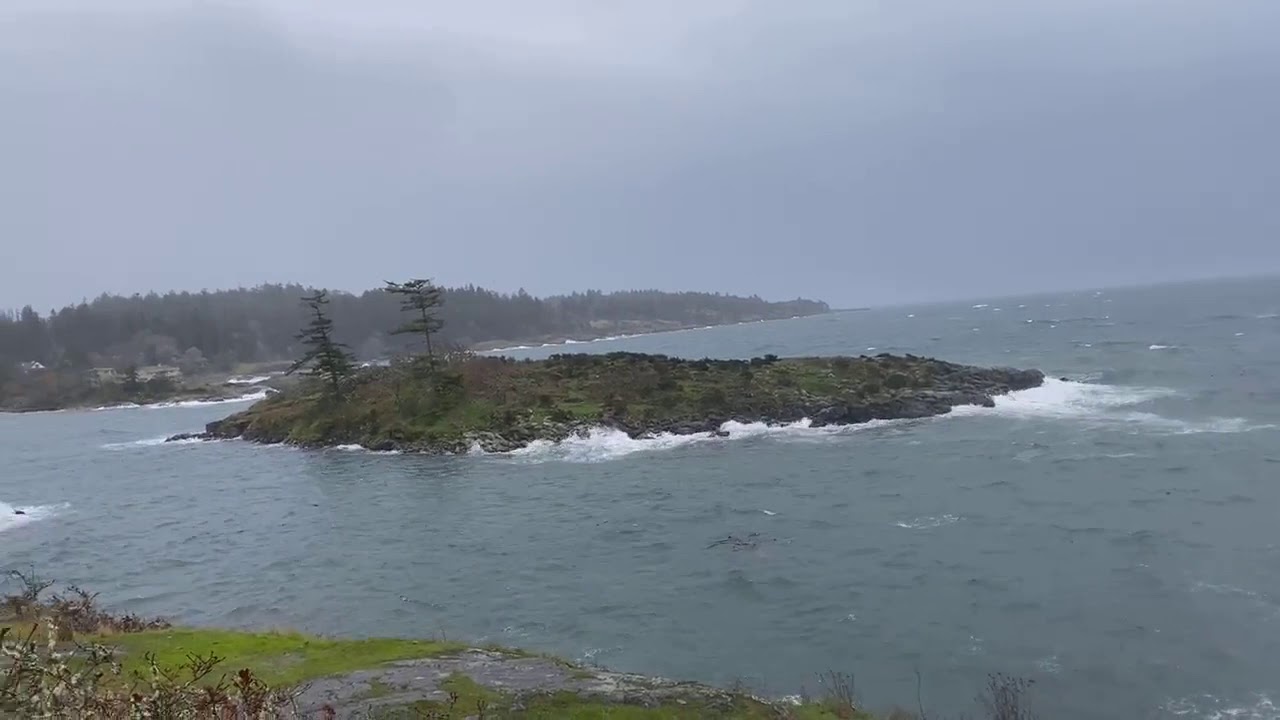 West coast winter weather! | Victoria BC | Realtor Jane Johnston