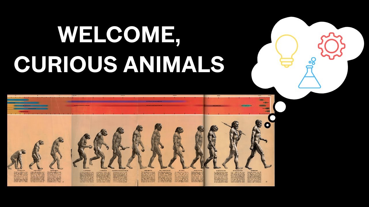 Welcome, Curious Animals