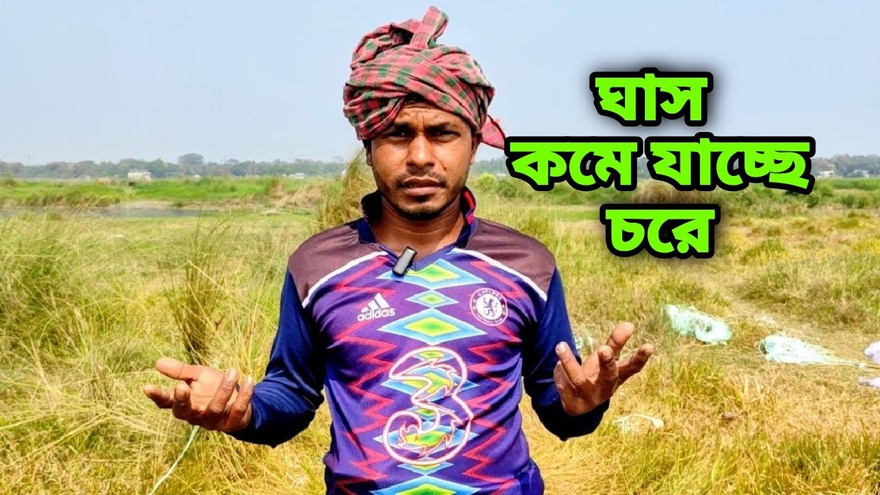 ঘাস কমে যাচ্ছে কেন চরে 01 | Rural life Chor  