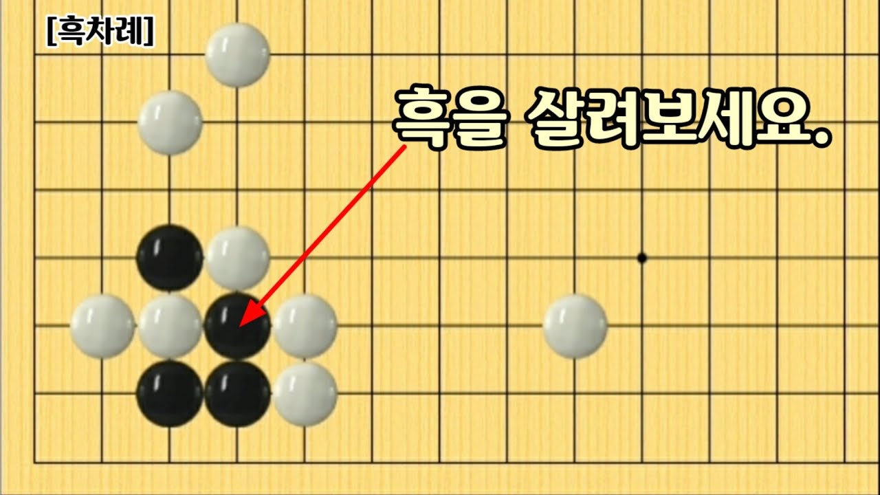 [오늘의 문제]2022-3-3 / 흑을 살려보세요.