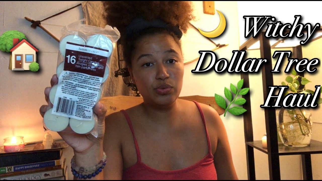 WITCHY DOLLAR TREE HAUL | 🌿🌙🏡