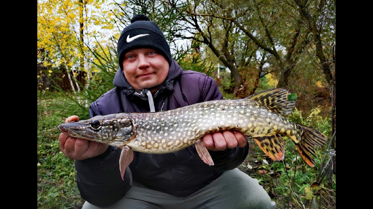 Осенняя ловля щуки на озере. Ловим щуку на силиконовые приманки Keitech и Daiwa.