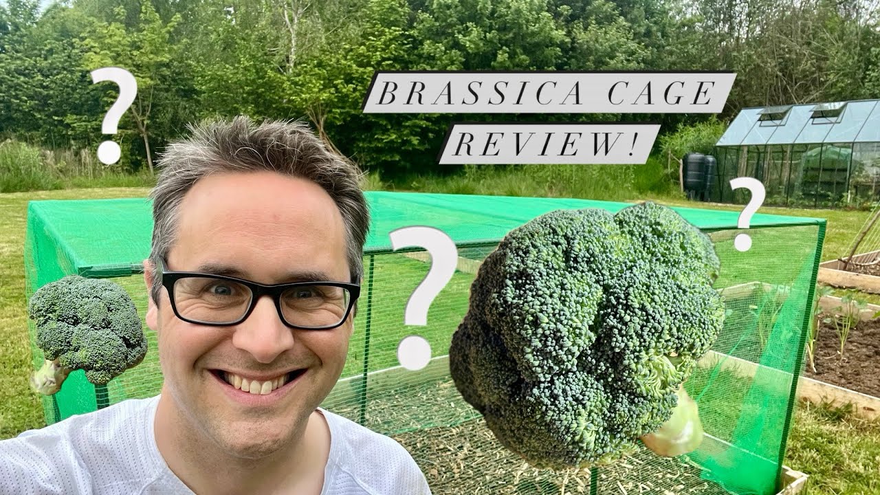 Is The Brassica Cage Worth It?